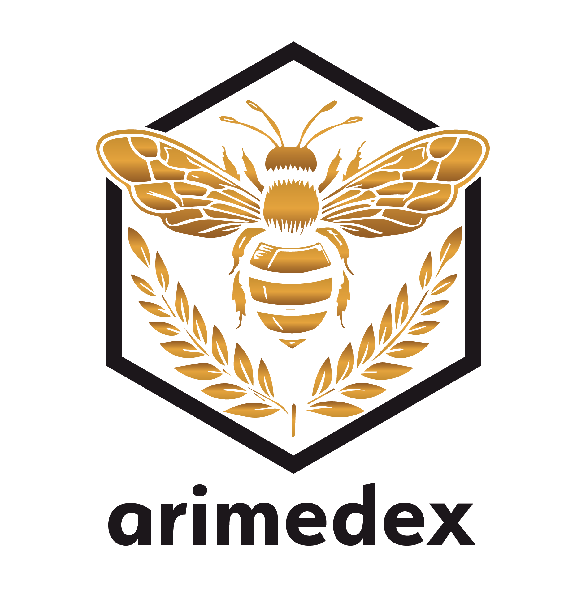 Arimedex Logo